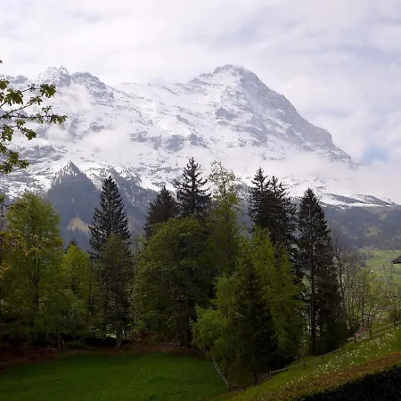 Jrene By Interhome *