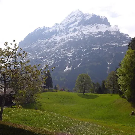 Jrene By Interhome Grindelwald