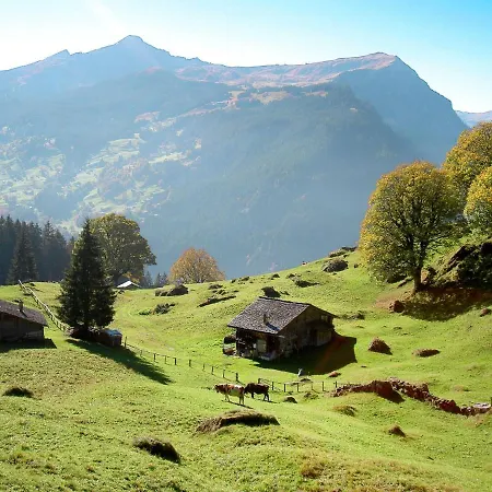 Daire Jrene By Interhome